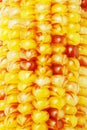 Close up of Indian corns Royalty Free Stock Photo