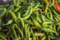 Close up of indian green chili pepper Royalty Free Stock Photo