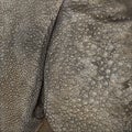 Close-up on Indian rhinoceros skin Royalty Free Stock Photo