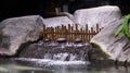 Close up of indoor mini pond waterfall Japanese style Royalty Free Stock Photo