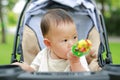 Close up Infant baby boy playing toy in hand sitting on stroller in nature park Royalty Free Stock Photo