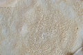 Close up of Injera, a fermented flatbread made with teff flour Royalty Free Stock Photo