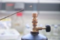 Close up of inoculation loop being sterilized in flame of gas bunsen burner in a laboratory Royalty Free Stock Photo