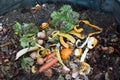 Inside of a composting container Royalty Free Stock Photo