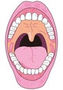 Close-up of the inside of a human\'s wide open mouth Royalty Free Stock Photo