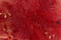 close-up of a inside a watermelon, a red surface with black seeds has a place for copying the text. Background and texture of Royalty Free Stock Photo