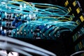 Close up of internet wires connected to the network server Royalty Free Stock Photo