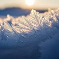 Close-up of intricate frost patterns resembling leaves or feathers on a surface, with a detailed Royalty Free Stock Photo