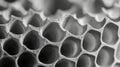 Hexagonal Cellular Structure Shows Repeating Pattern in Black and White Royalty Free Stock Photo