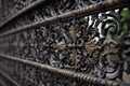 close-up of intricate ironwork on a gate or fence