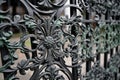 close-up of intricate ironwork on a gate or fence