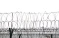 Close up on iron barbed wire background