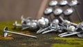 Close up of iron nails on the table, outdoors Royalty Free Stock Photo
