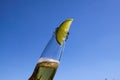 Close up of isolated bottleneck with sparkling yellow beer and a slice of lime against cloudless deep blue sky Royalty Free Stock Photo