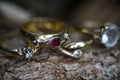 Close up of isolated old vintage golden ring with diamond and red ruby gemstone on natural tree trunk bark background Royalty Free Stock Photo