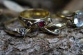 Close up of isolated old vintage golden ring with diamond and red ruby gemstone on natural tree trunk bark background Royalty Free Stock Photo