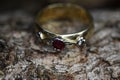 Close up of isolated old vintage golden ring with diamond and red ruby gemstone on natural tree trunk bark background Royalty Free Stock Photo
