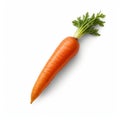 Highly Realistic Carrot Isolated On White Background With Clipping Path