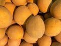 Close up of isolated pile galea melons on german market in natural sunlight