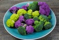 Close up of isolated purple, green, yellow colored raw cauliflowers and broccoli on blue china plate to make children hungry for Royalty Free Stock Photo