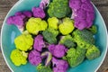 Close up of isolated purple, green, yellow colored raw cauliflowers and broccoli on blue china plate to make children hungry for Royalty Free Stock Photo