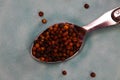 Close up of isolated silver spoon full with red and black cambodian kampot pepper seeds on old blue scratched china dish Royalty Free Stock Photo