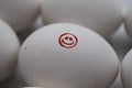 Close up of isolated white raw egg with painting of red smiling face surrounded by group of equal eggs focus on face Royalty Free Stock Photo