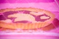 Close up of an Italian Chocolate Tart under Tulle Protection against Flies Royalty Free Stock Photo