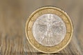 Close up of a Italian one euro coin Royalty Free Stock Photo