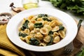 Close-up of Italian pasta Orecchiette con le cime di rapa e le acciughe Royalty Free Stock Photo