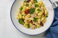 Close up of italian pasta salad with tuna fish, broccoli, sun dried tomatoes Royalty Free Stock Photo