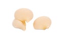 Close up of Italian pasta shells. Royalty Free Stock Photo