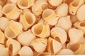 Close up of Italian pasta shells Royalty Free Stock Photo