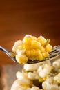 Close up of a italian salad with pasta Royalty Free Stock Photo