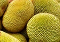 Close up jackfruit