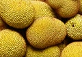 Close up jackfruit