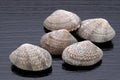 Close up of Japanese asari clams