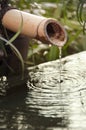 Close up of a japanese bamboo fountain Royalty Free Stock Photo