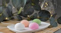 Close up japanese dessert mochi with eucalyptus Royalty Free Stock Photo