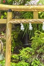 Close up on a Japanese golden torii gate and a sacred shimenawa straw rope in Japan.