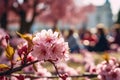 Close up of Japanese pink cherry flower blossom on tree with blurry people celebrating Hanami festival in background Royalty Free Stock Photo