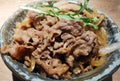 Close-up of Japanese Style Beef Rice Bowl