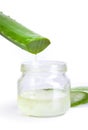 Close up jar of aloe vera gel with sliced aloe vera leaf isolated on white background with clipping path.