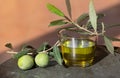 Close up of a jar with fresh olive oil. The jar stands next to an olive branch and fresh olives on a slab of embossed copper. The