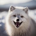 Joyful White Fox Close-Up, AI Generated