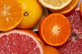Close up on juicy fresh cut citrus fruits