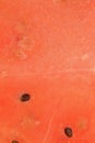 Close-up of juicy watermelon slice. Slice of ripe melon in sparkling water, close-up. Vertical macro image. Royalty Free Stock Photo