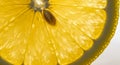 Close Up of a Juicy Yellow Lemon Slice Royalty Free Stock Photo