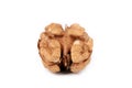 Close up of kernel walnut. Royalty Free Stock Photo