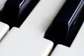 Close-up of the keys of a piano